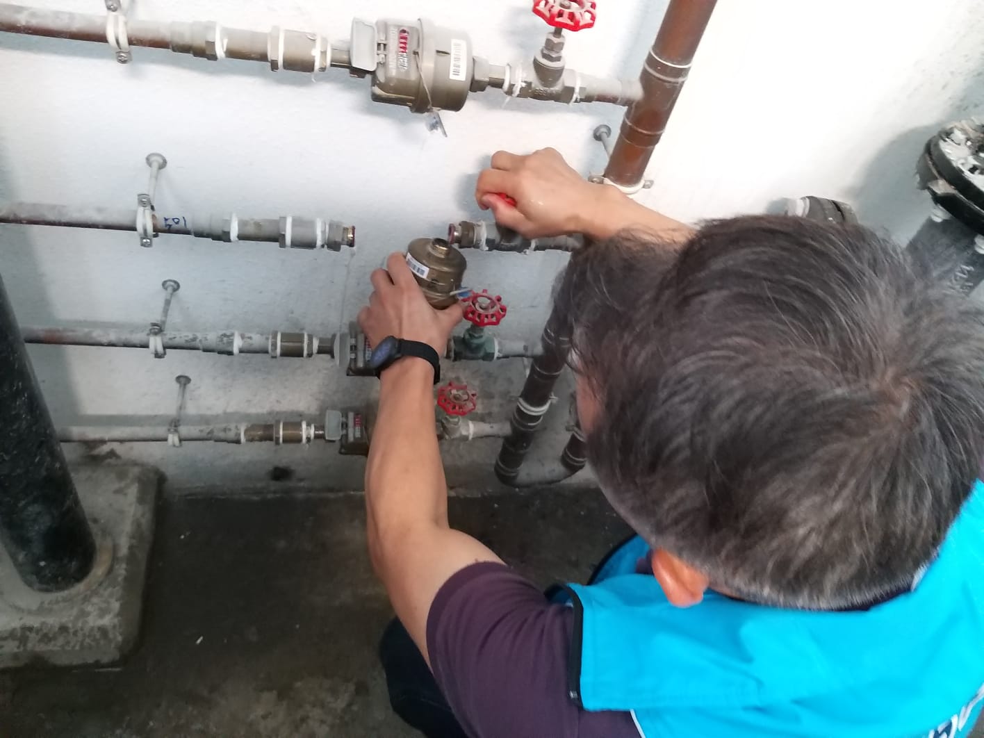 皇后山義工活動