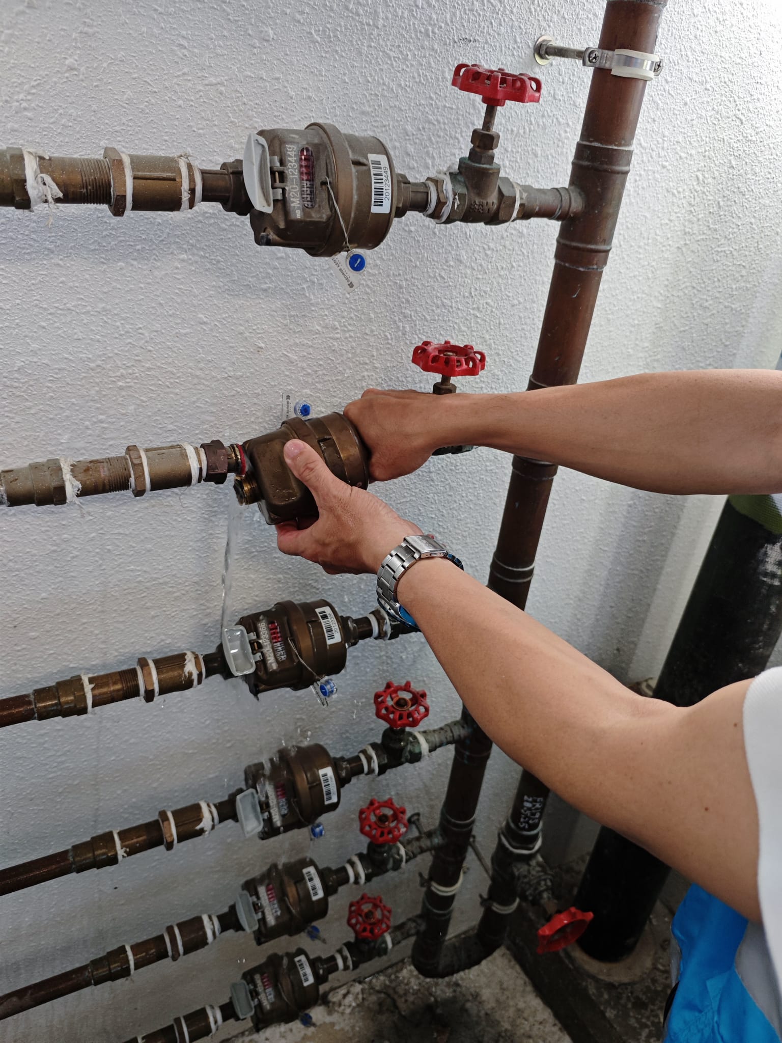 皇后山義工活動