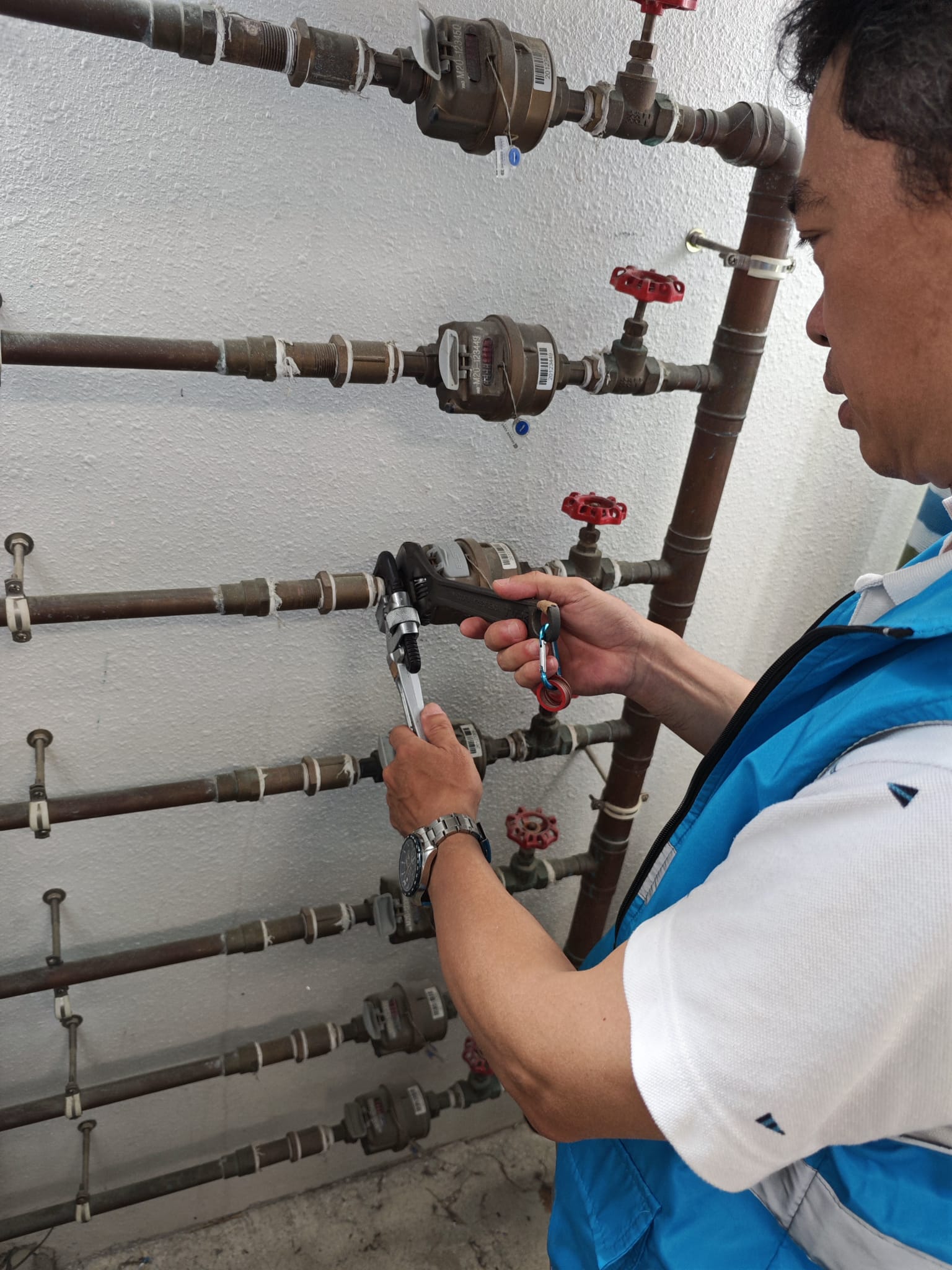 皇后山義工活動